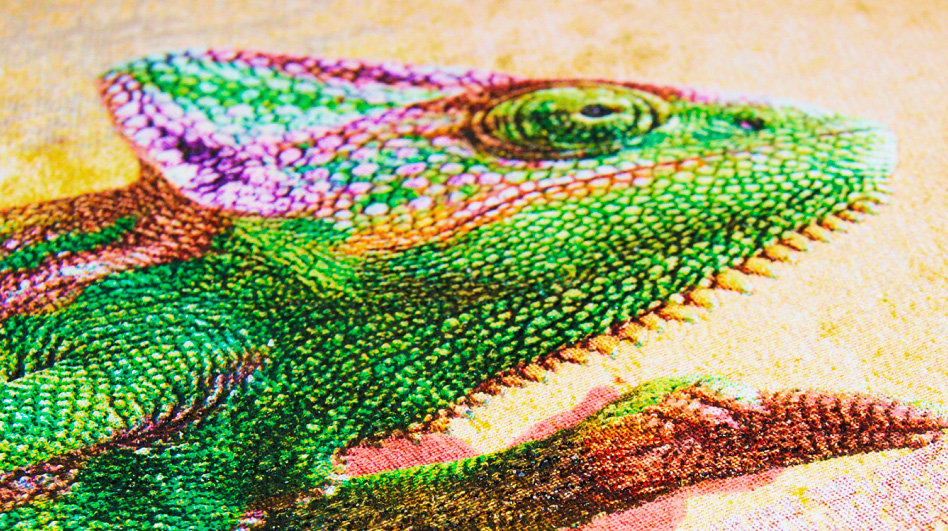 Sitodruk wielokolorowej grafiki na tkaninie &ndash; przykład nadruku na odzieży